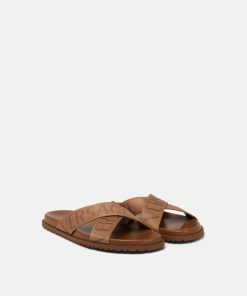 Truesage.shop331eedcfcc 2