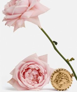 Truesage.shop7d126d16f4 2