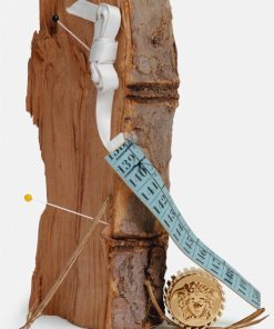 Truesage.shop929c3101c9 2